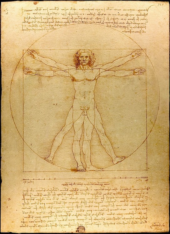 Vitruvian Man by Leonardo da Vinci