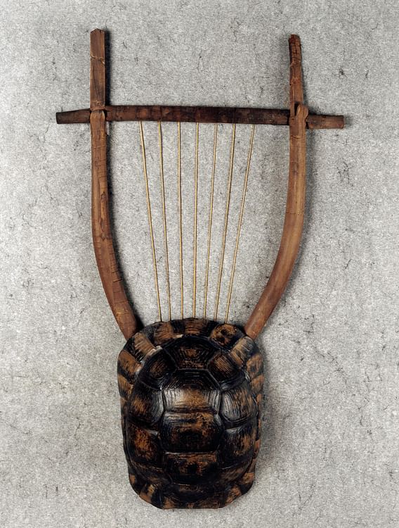 Tortoiseshell Lyre