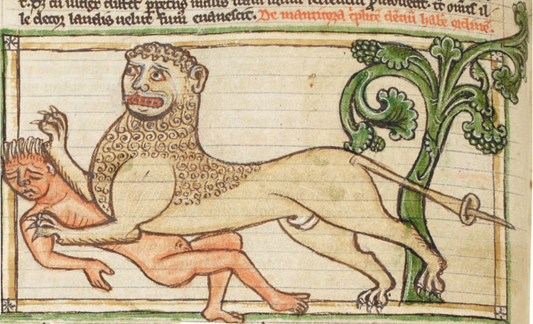 Manticore in British Library