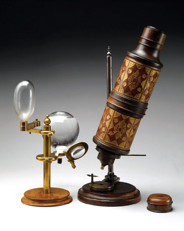 Robert Hooke Microscope