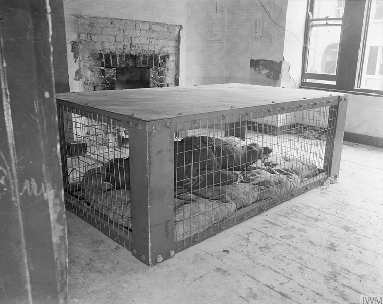 Morrison Shelter
