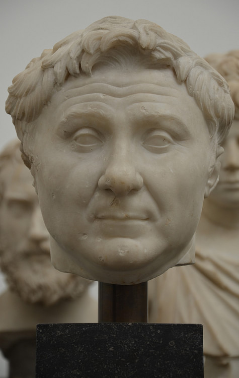 Pompey Marble Bust