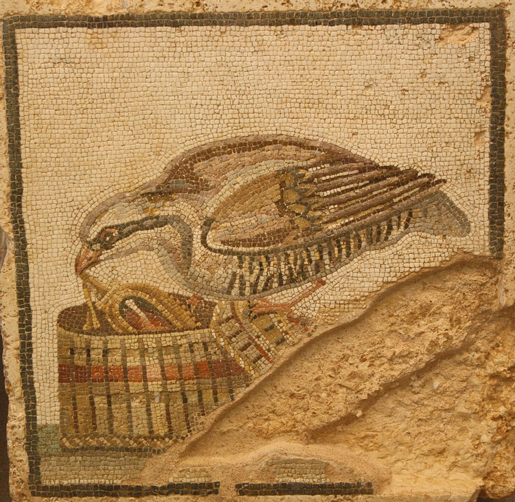 Partridge Mosaic, Empuries