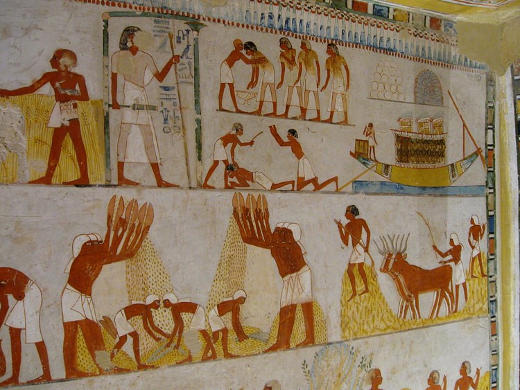 Egyptian Workers