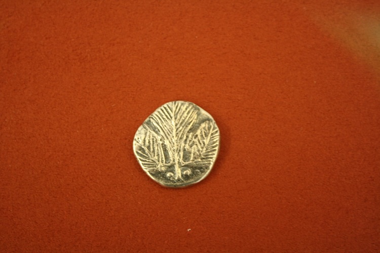 Selinus Silver Didrachm